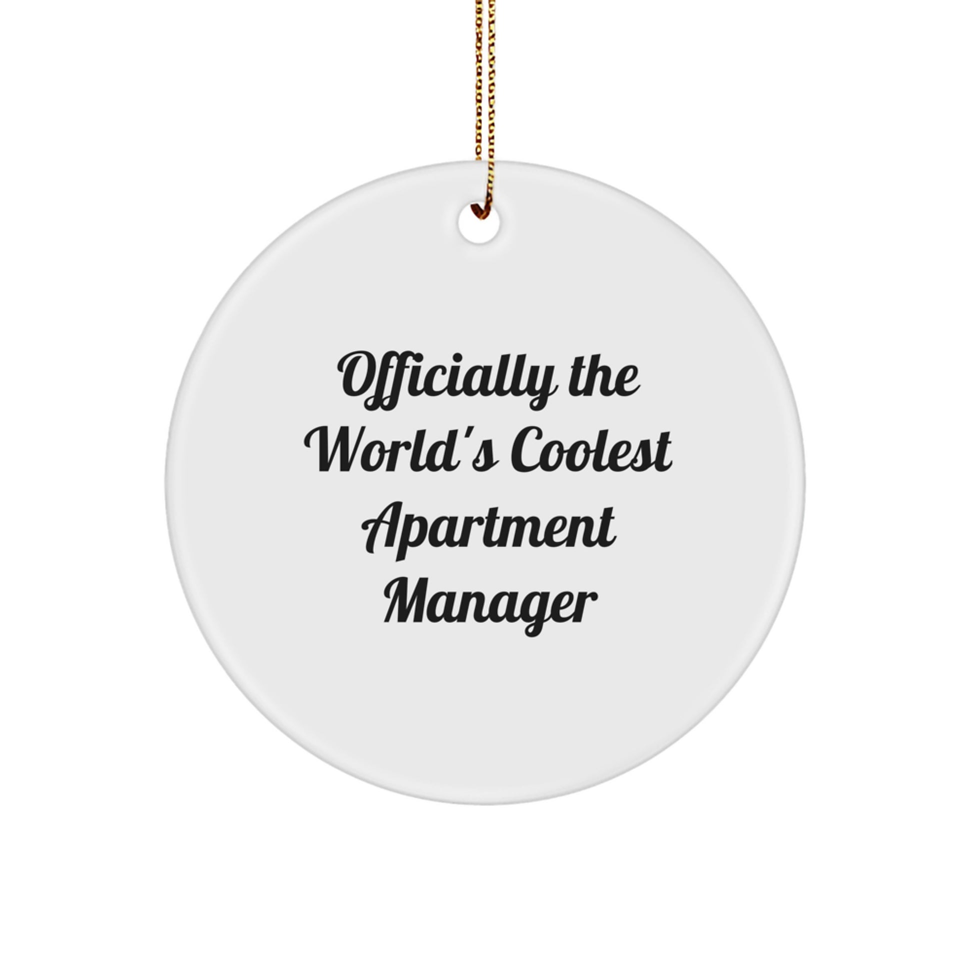 Christmas Unique Gifts from Friends, Family, or Coworkers for the Officially World's Coolest Apartment Manager - Image 1