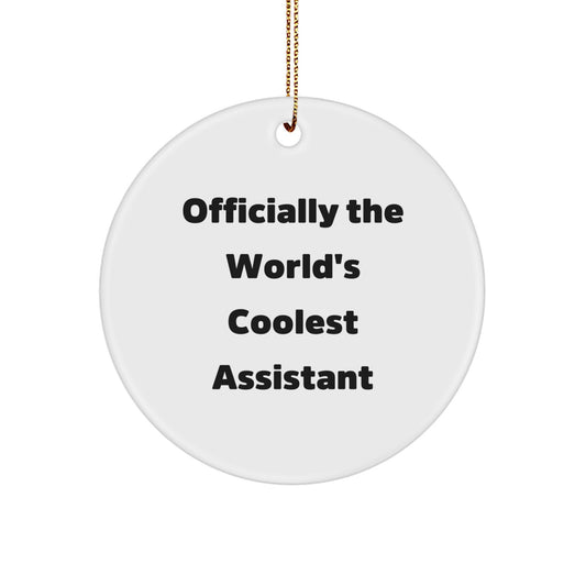 Funny, Coolest Assistant Gifts from Friends, Circle Ornament for Christmas Unique Gifts - Image 1