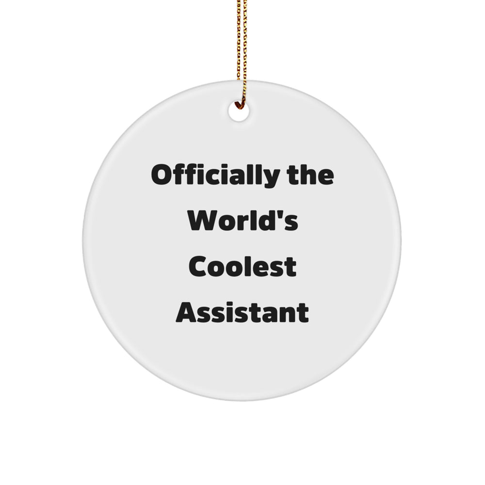 Funny, Coolest Assistant Gifts from Friends, Circle Ornament for Christmas Unique Gifts - Image 1