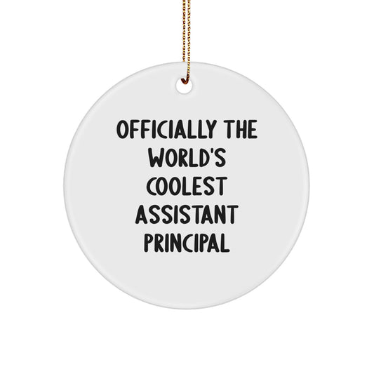 Funny Assistant Principal Gifts for Men - 'Officially The World's Coolest Assistant Principal' Circle Ornament, Christmas Unique Gifts from Men to Assistant Principals - Image 1
