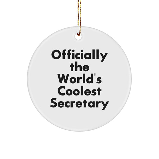 Unique Gifts for the World's Coolest Secretary, Fun Circle Ornament for Secretary, Christmas Unique Office Decor - Image 1