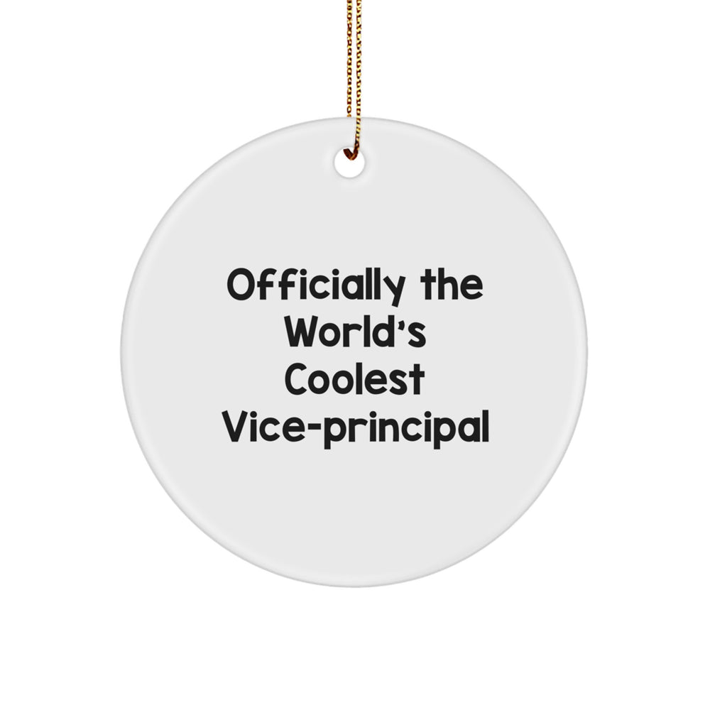 Funny Vice-principal Gifts from Friends, Officially The World's Coolest Vice-principal Christmas Unique Gifts for Vice-principal - Image 1