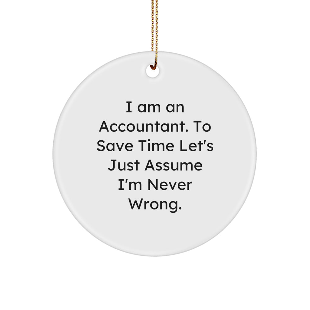 Accountant Gifts from Coworkers, Funny Circle Ornament for Christmas Unique Gifts, I'm Never Wrong Humor for Accountants - Image 1