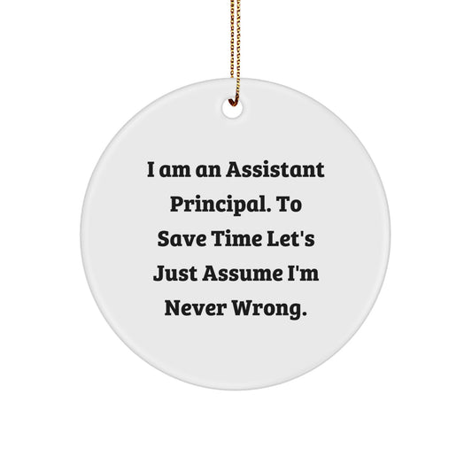 Funny Assistant Principal Gifts from Friends - I Am Never Wrong Ornament, Perfect Christmas Memorable Present for Men Women Coworkers Family - Image 1