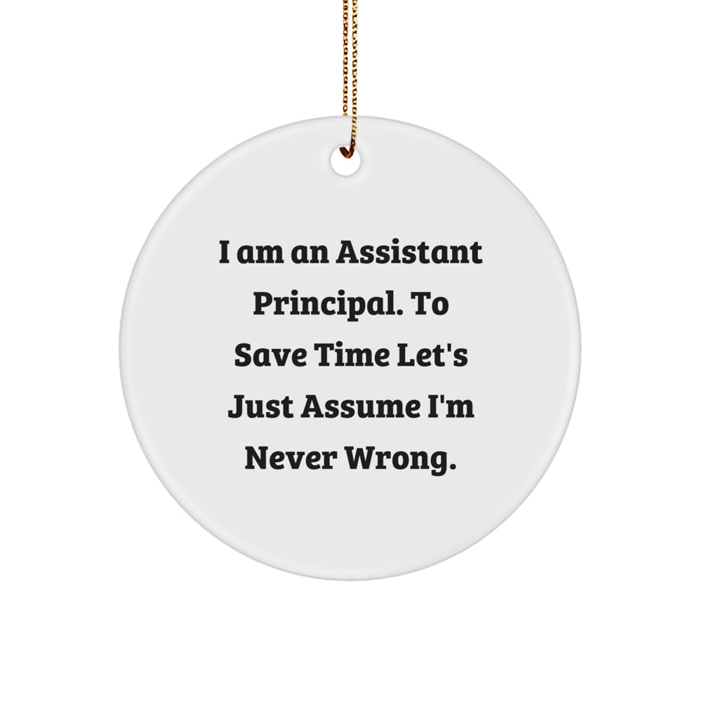 Funny Assistant Principal Gifts from Friends - I Am Never Wrong Ornament, Perfect Christmas Memorable Present for Men Women Coworkers Family - Image 1