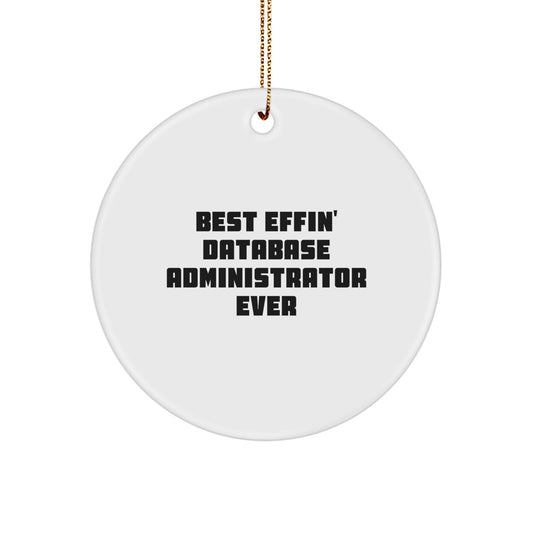 Funny Database Administrator Gifts from Family - Best Effin' Database Administrator Ever Circle Ornament, Christmas Unique Gift for DBA - Image 1