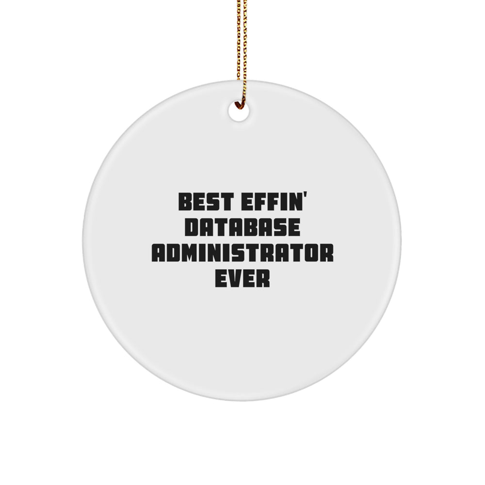 Funny Database Administrator Gifts from Family - Best Effin' Database Administrator Ever Circle Ornament, Christmas Unique Gift for DBA - Image 1