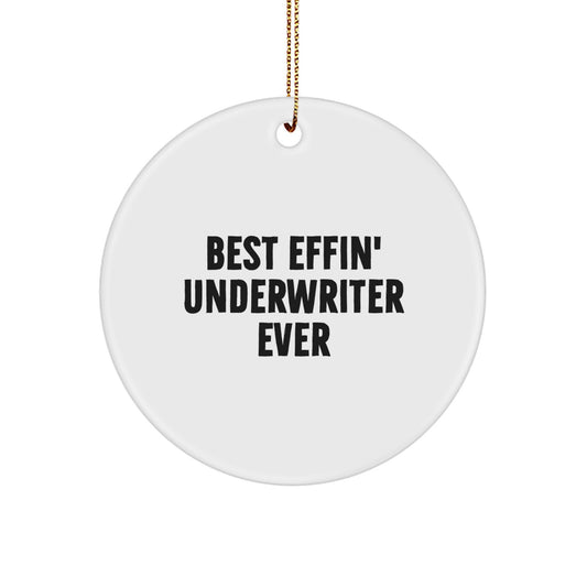 Funny Underwriter Gifts for Underwriter, Cute Circle Ornament, Christmas Unique Gifts from Friends, Best Effin' Underwriter Ever Quote - Image 1