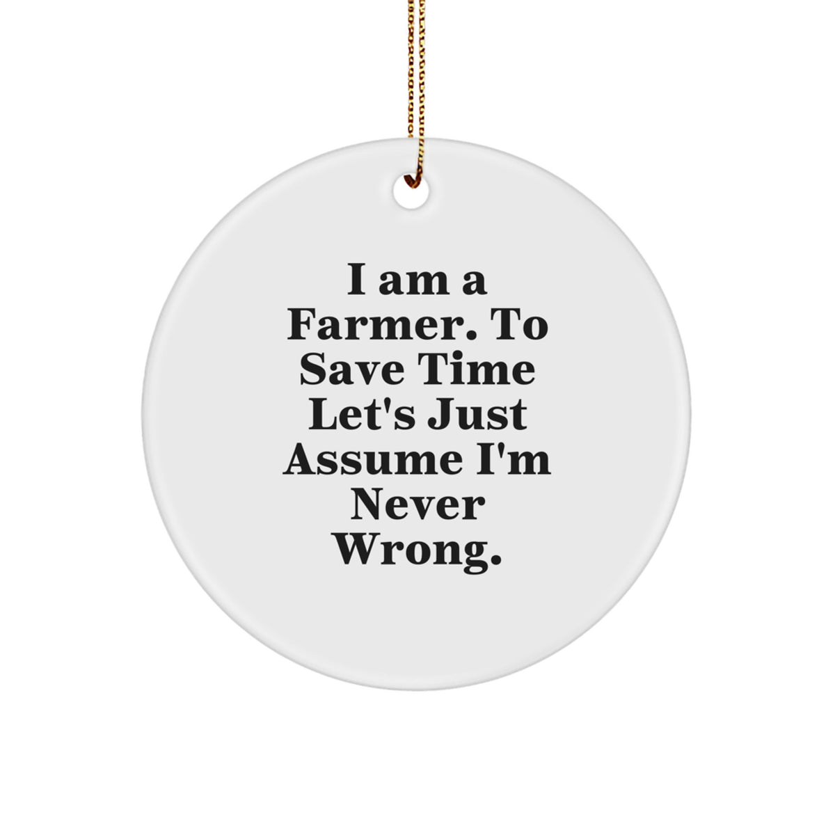 Funny Farmer Gifts for Family Members - Christmas Unique Circle Ornament with I'm Never Wrong Quote - Gifts from Family to Farmer - Image 1