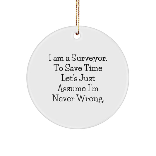 Funny Surveyor Gifts from Friends - 'I'm Never Wrong' Christmas Unique Ornaments for Surveyor Men Women Family - Image 1
