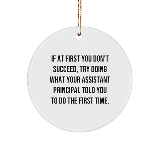 Funny Assistant Principal Gifts from Family - Circle Ornament, Inspirational Quote, Christmas Unique Gifts for Assistant Principal, Men, Women, Friends, Coworkers - Image 1
