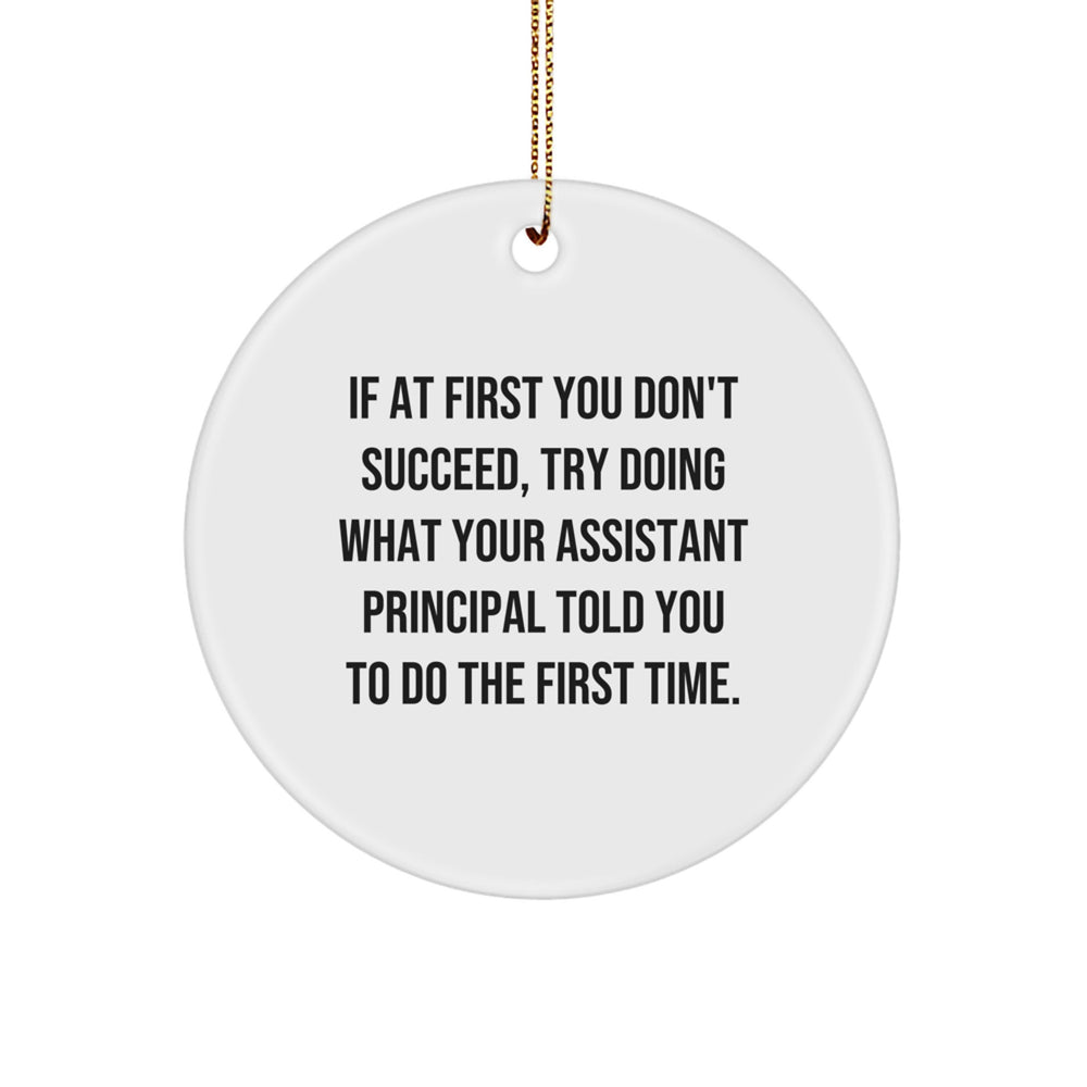 Funny Assistant Principal Gifts from Family - Circle Ornament, Inspirational Quote, Christmas Unique Gifts for Assistant Principal, Men, Women, Friends, Coworkers - Image 1