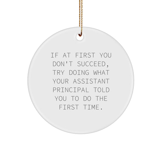 Funny Assistant Principal Gifts for Christmas, Circle Ornament with Inspirational Quote Gifts from Men to Assistant Principals - Image 1