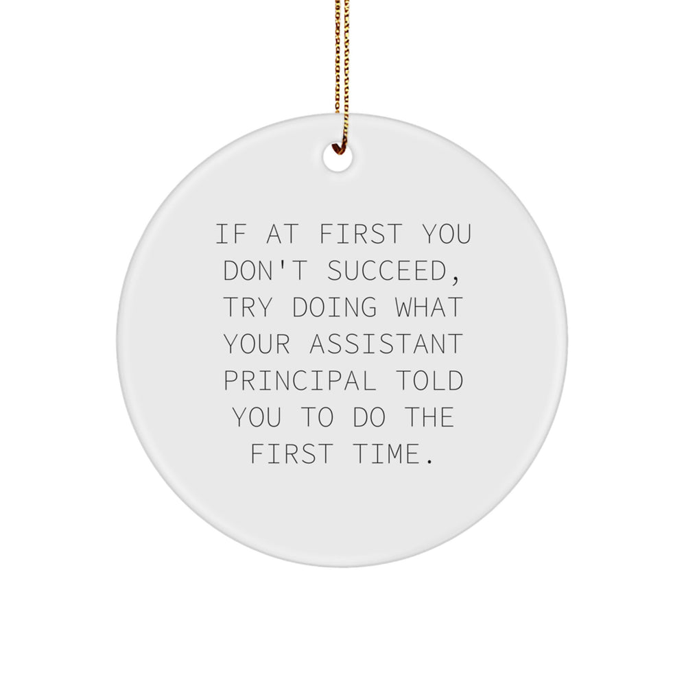 Funny Assistant Principal Gifts for Christmas, Circle Ornament with Inspirational Quote Gifts from Men to Assistant Principals - Image 1
