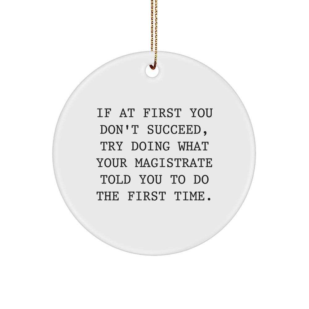 Funny Magistrate Inspirational Gifts from Men for Christmas Unique Circle Ornaments, Funny Magistrate Quote Circle Shaped, If At First You Don't Succeed Gifts for Magistrate - Image 1