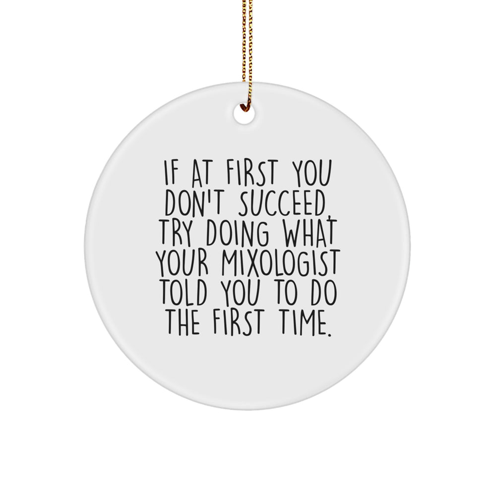 Funny Mixologist Gifts for Men, Women, Friends - If At First You Don't Succeed, Try Doing What Your Mixologist Told You To Do The First Time - Christmas Unique Gifts from Family to Loved Ones - Image 1