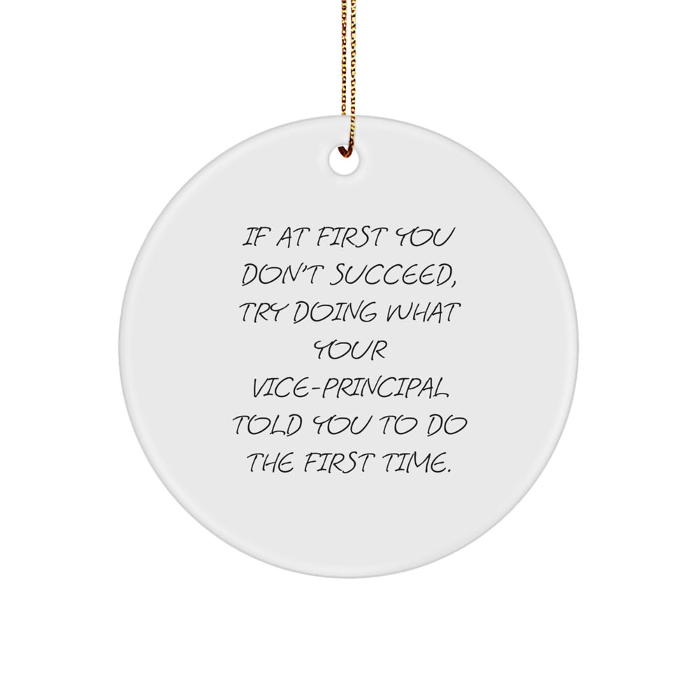 Funny Vice-principal Gifts, If At First You Don't Succeed, Try Doing What Your Vice-principal Told You To Do The First Time. Christmas Unique Gifts for Vice-principal - Image 1