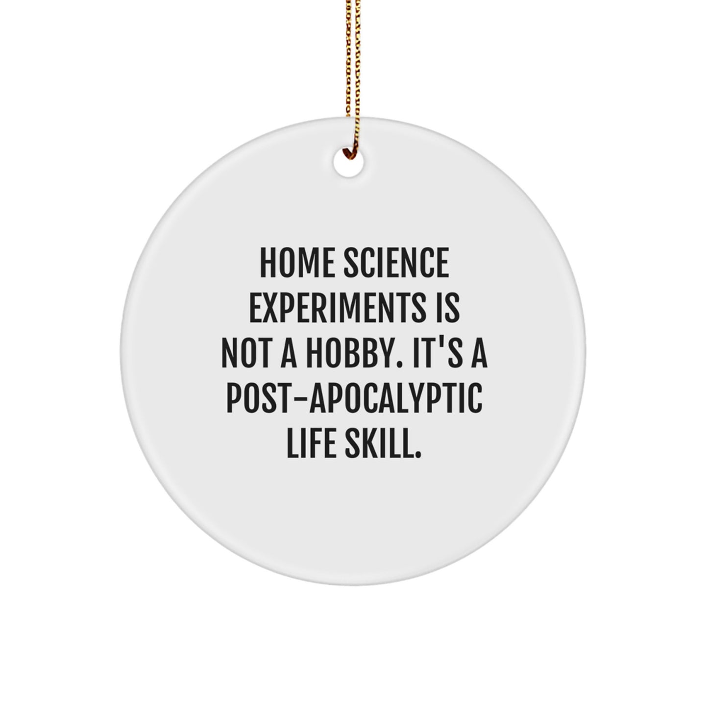 Home Science Experiments Gifts for Men and Women, Funny Circle Ornament, Gifts from Friends and Family for Christmas Unique Gifts - Image 1