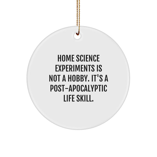 Home Science Experiments Gifts for Men and Women, Funny Circle Ornament, Gifts from Friends and Family for Christmas Unique Gifts - Image 1