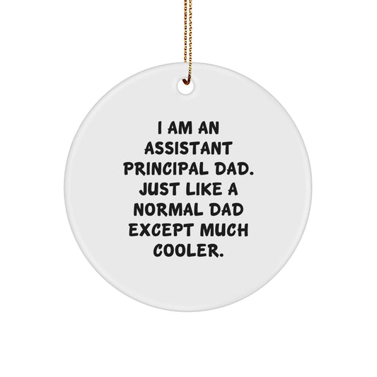 Funny Assistant Principal Gifts from Mom for Dad - Assistant Principal Dad Circle Ornament - Christmas Unique Gifts for Assistant Principals - Personalized Assistant Principal Decorations - Image 1