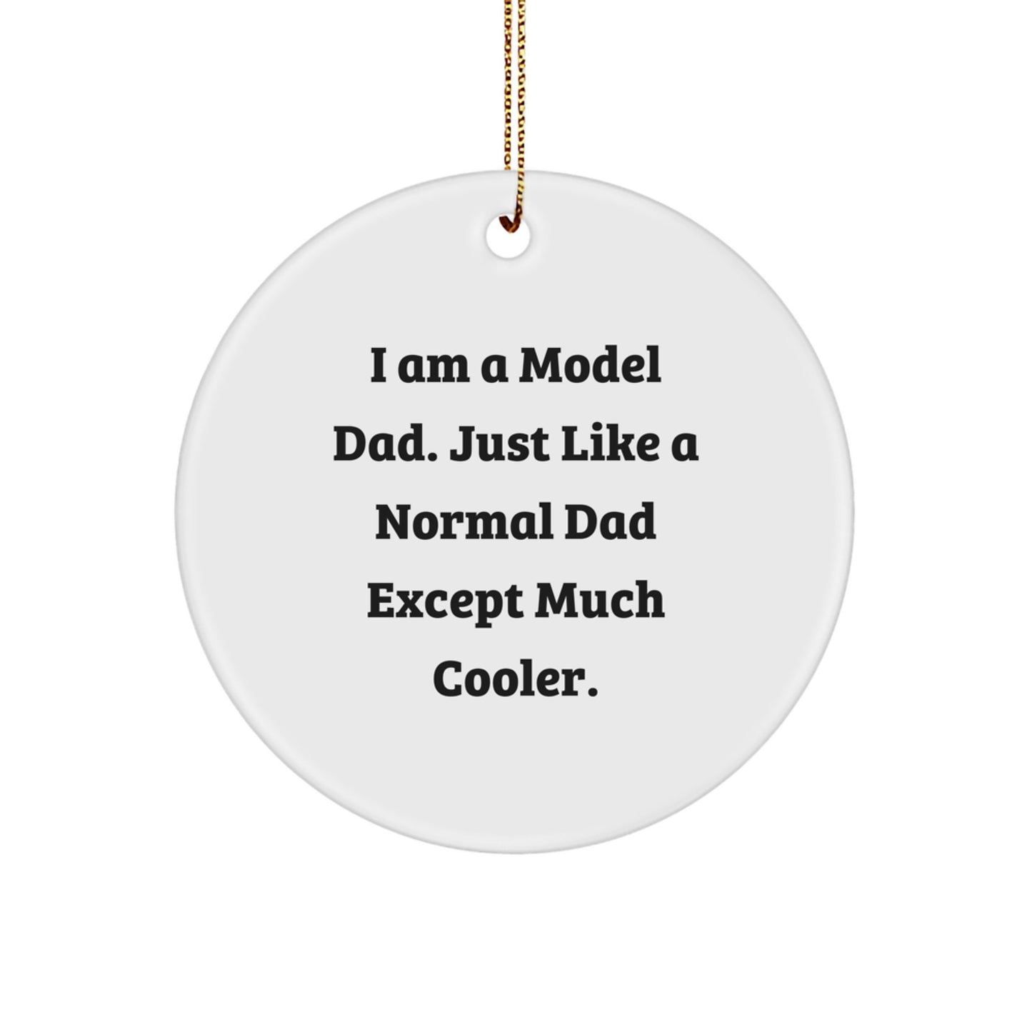Funny Model Dad Gifts from Men to Model Dads for Christmas Unique Model Ornaments - Image 1