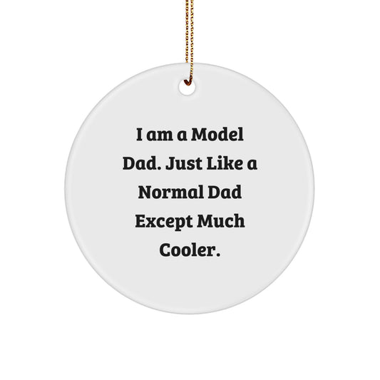 Funny Model Dad Gifts from Men to Model Dads for Christmas Unique Model Ornaments - Image 1