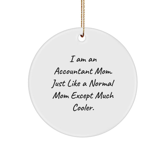 Funny Accountant Mom Circle Ornament Gifts from Family Friends Coworkers for Accountant Christmas Unique - Image 1