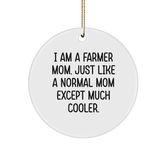 Funny Farmer Gifts for Family - I Am A Farmer Mom Circle Ornament, White, Christmas Unique Gifts from Friends - Image 1