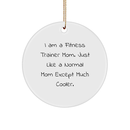 Funny Fitness Trainer Mom Gifts from Friends Unique Christmas Circle Ornaments for Fitness Trainers Women - Image 1