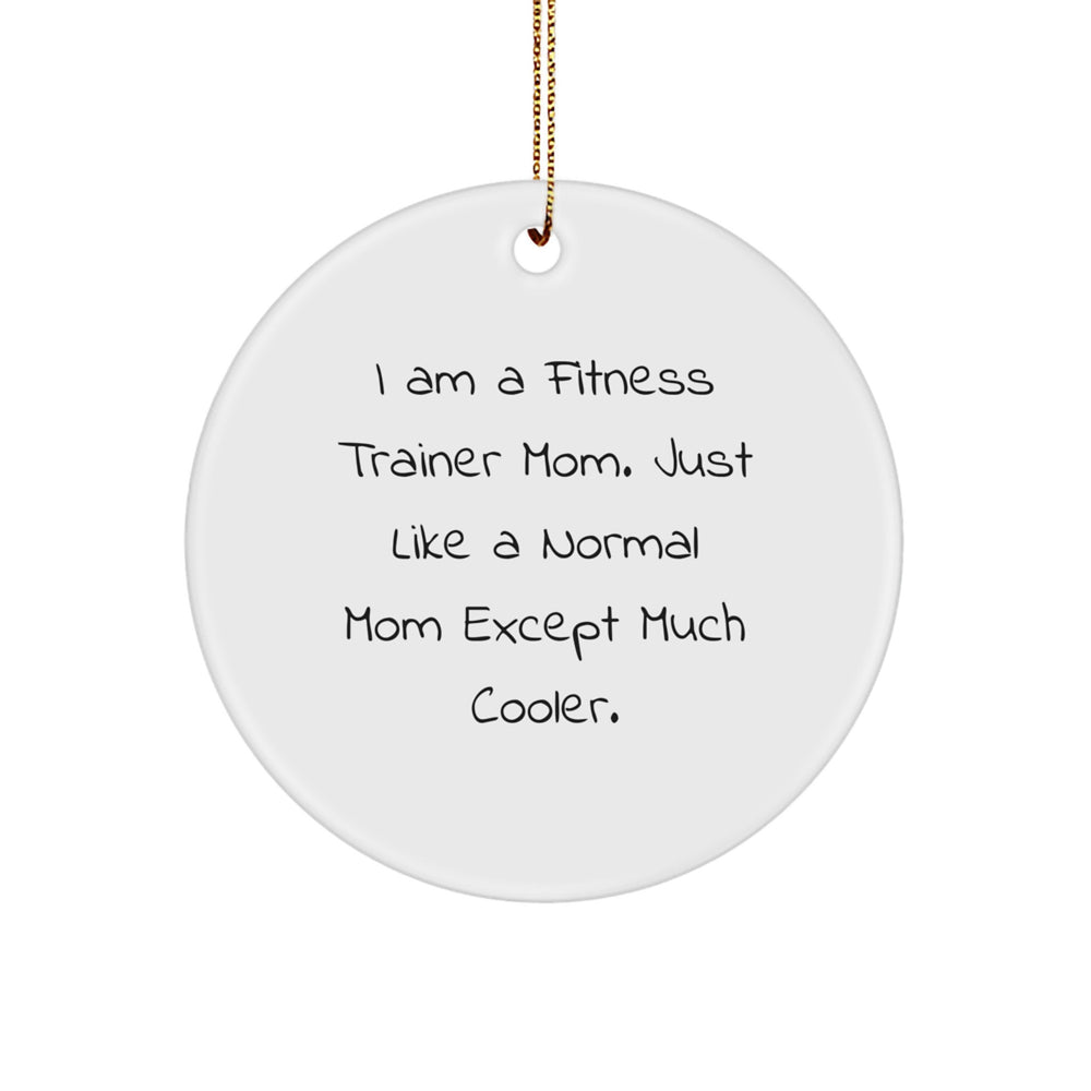 Funny Fitness Trainer Mom Gifts from Friends Unique Christmas Circle Ornaments for Fitness Trainers Women - Image 1