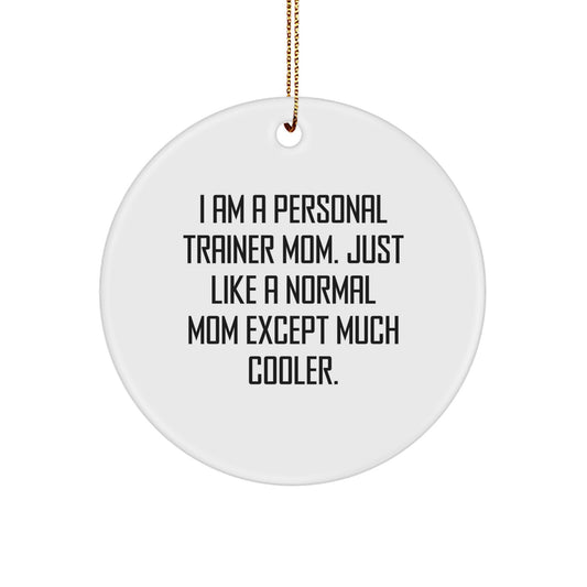 Funny Personal Trainer Mom Gifts from Friends for Men and Women at Christmas Unique Ornament - Image 1