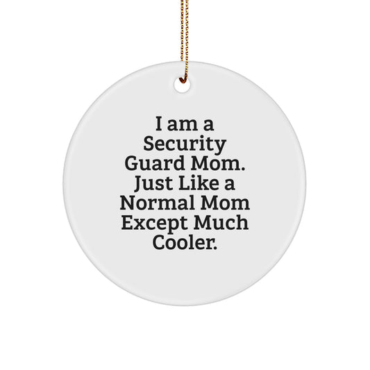 Funny Security Guard Mom Gifts from Friends - Unique Circle Ornament for Security Guard Men, Women, Coworkers, Family - Christmas Decorations, Inspirational Security Guard Quotes - Image 1