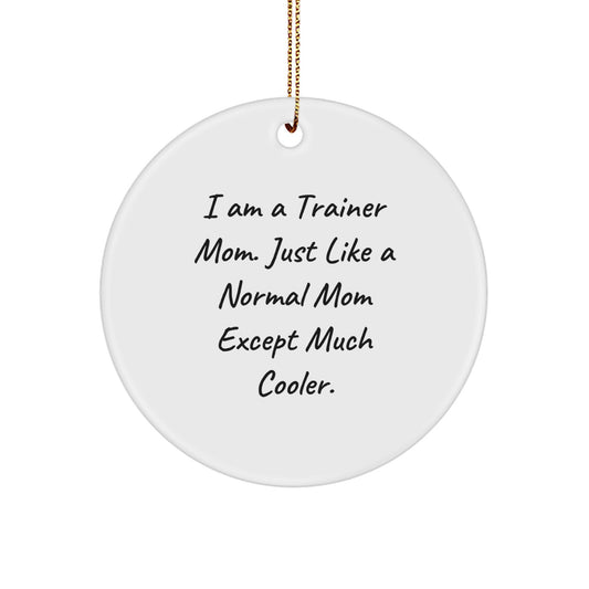 Funny Trainer Mom Gifts from Men to Trainer Friends for Christmas Unique Circle Ornaments - Image 1