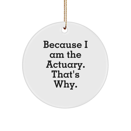 Funny Actuary Gifts from Friends for Actuary Men, Because I Am The Actuary. That's Why. Circle Ornament for Christmas Unique Gifts - Image 1