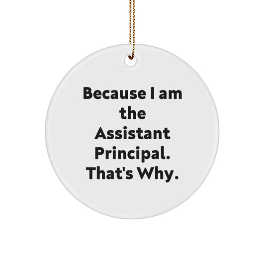 Funny Assistant Principal Gifts from Men for Christmas Unique Gifts - Because I Am The Assistant Principal. That's Why. Quote Circle Ornament - Image 1