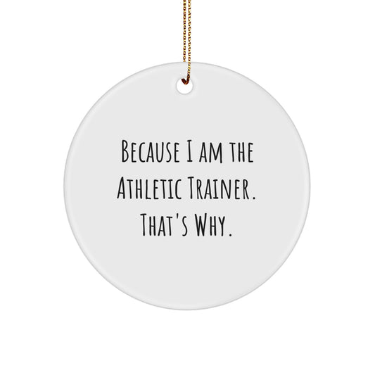 Funny Athletic Trainer Circle Ornament Gifts from Men to Female Athletic Trainers for Christmas Unique Holiday Decorations - Image 1