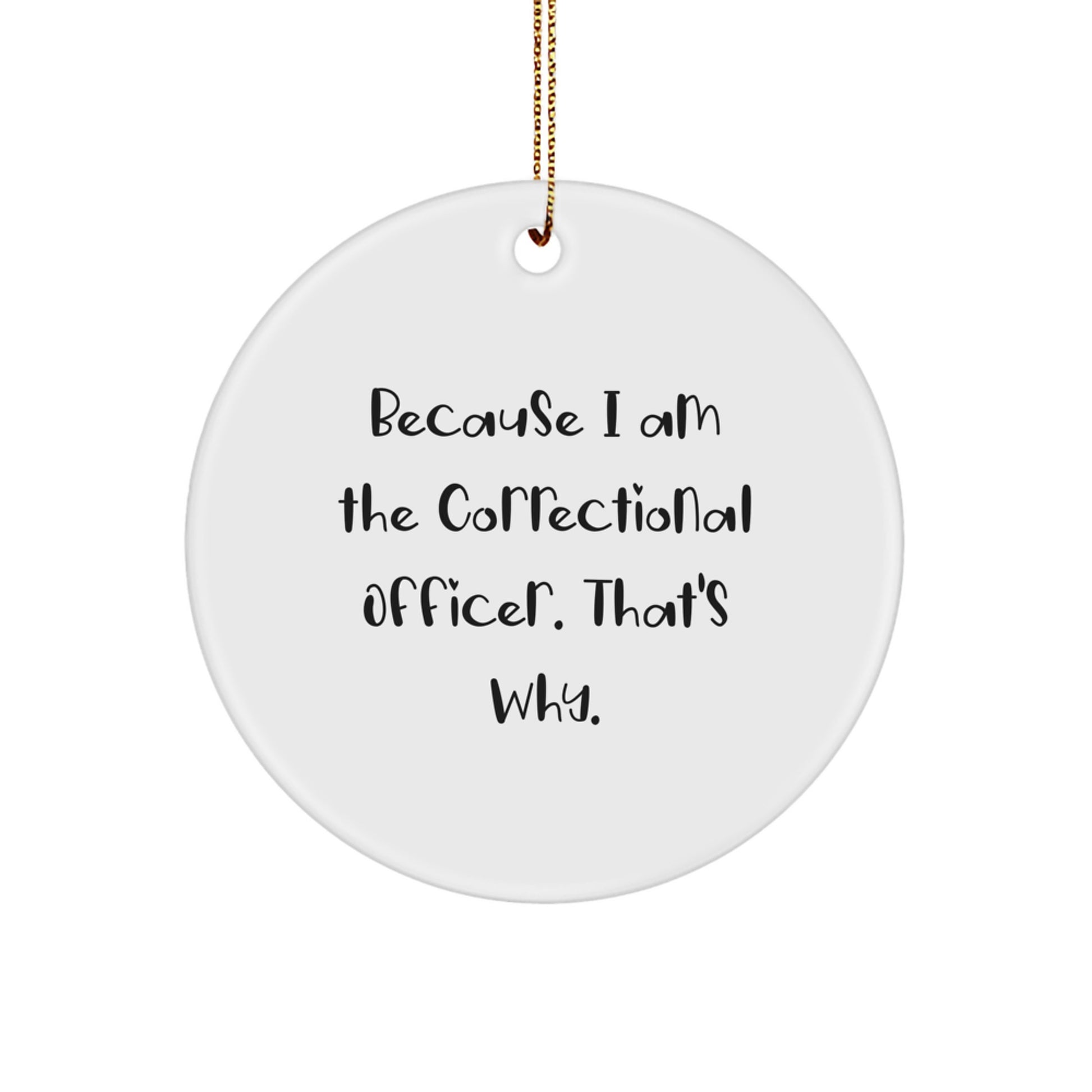 Funny Correctional Officer Gifts from Family, Correctional Officer Circle Ornament with Inspirational Quote, Unique Christmas Unique Gifts for Correctional Officer, Men, Women, Friends, Coworkers - Image 1