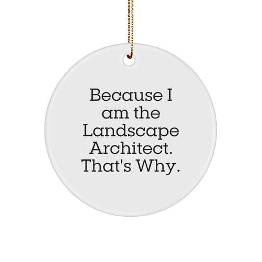 Funny Landscape Architect Gifts, Inspirational Quote Circle Ornament, because I am the landscape architect that's why. Gifts from the Office, for Landscape Architects, Unique Christmas Decorations - Image 1