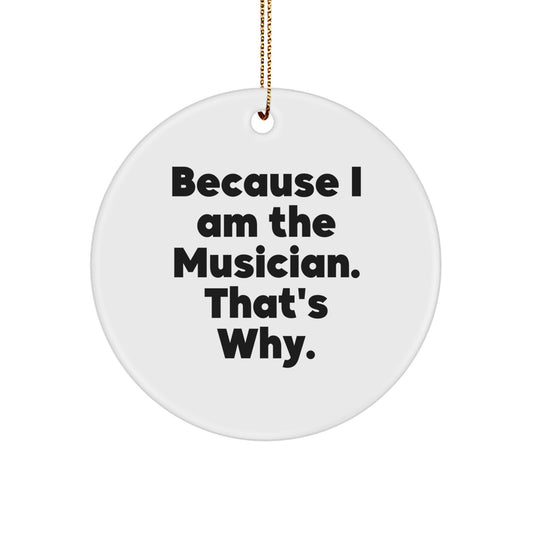 Funny Musician Circle Ornament Gifts from Friends and Family for Men Women Coworkers - Christmas Unique Decorations with Sublimation Edge to Edge Printing - Image 1