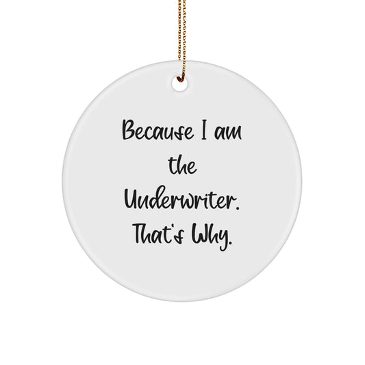 Funny Underwriter Gifts from Friends for Underwriter, Unique Circle Ornament Because I Am The Underwriter That's Why, Christmas Unique Gifts - Image 1