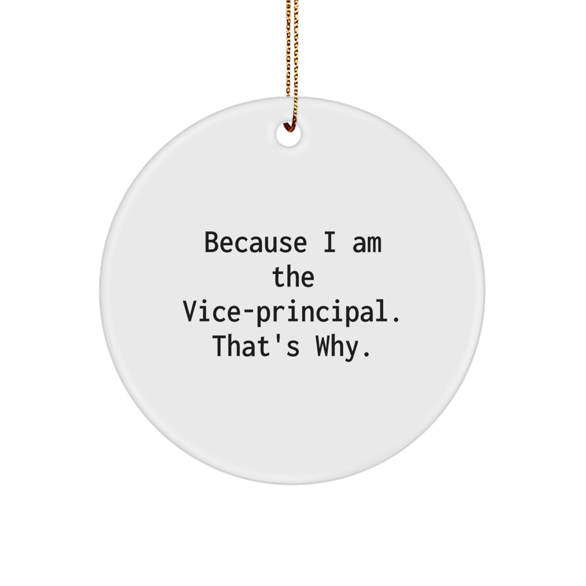 Funny Vice-principal Office Decor Gifts from Friends for Vice-principal Christmas Unique - Image 1