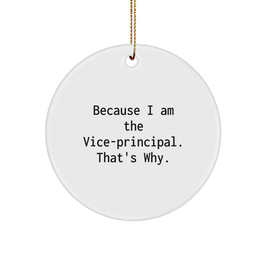 Funny Vice-principal Office Decor Gifts from Friends for Vice-principal Christmas Unique - Image 1