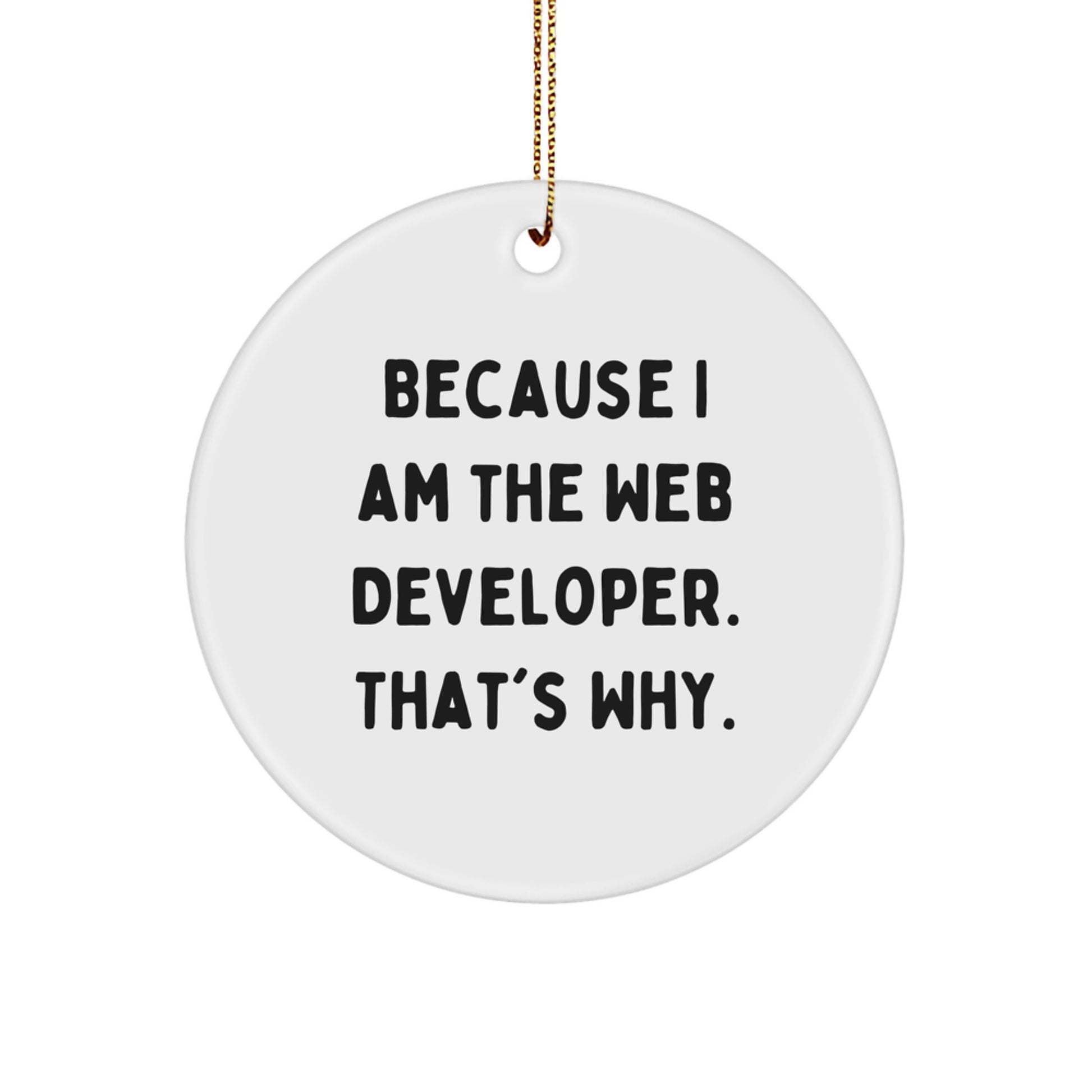 Funny Web Developer Gifts Circle Ornament for Men from Friends, Because I Am The Web Developer That's Why, Christmas Unique Decorations - Image 1