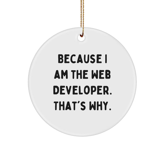 Funny Web Developer Gifts Circle Ornament for Men from Friends, Because I Am The Web Developer That's Why, Christmas Unique Decorations - Image 1