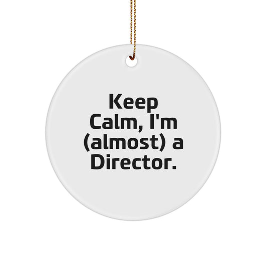 Funny Director Gifts from Family - Keep Calm I'm (almost) A Director Christmas Unique - Image 1