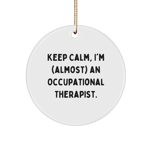 Funny Occupational Therapist Gifts, Keep Calm Christmas Circle Ornament, Unique Occupational Therapist Assistant Christmas Unique Gifts from Friends - Image 1