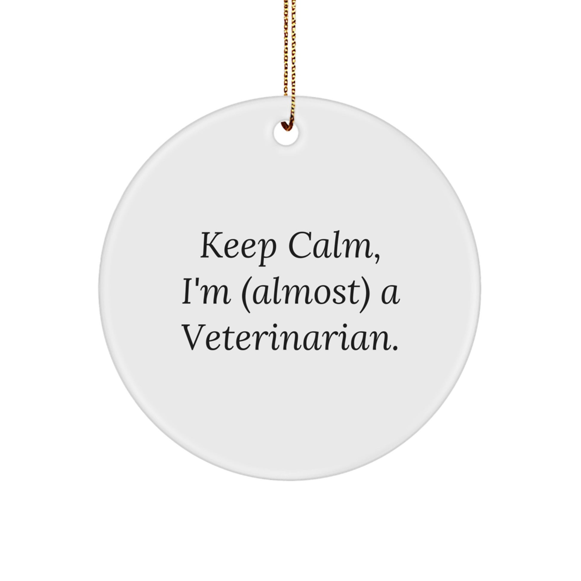 Unique Funny Veterinarian Gifts for Men - 'Keep Calm, I'm (almost) A Veterinarian' Circle Ornament Christmas Decorations, White - Image 1