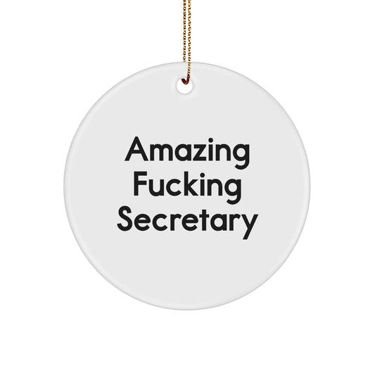 Funny Secretary Gifts from Family for Secretary, Amazing Circle Ornament for Secretary, White Circle Ornament for Christmas Unique Gifts - Image 1