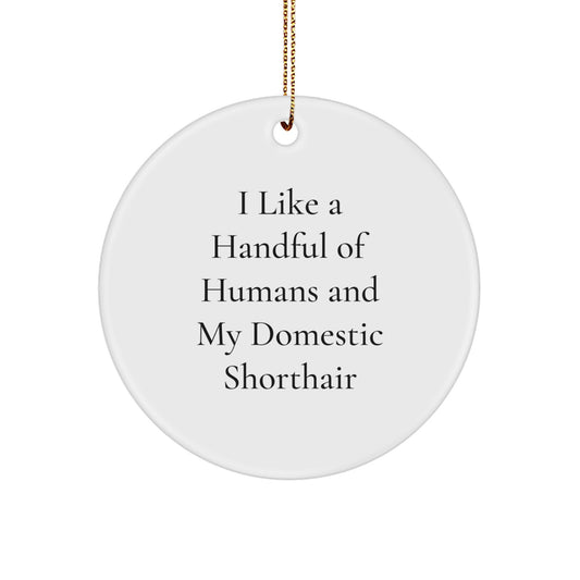 Funny Domestic Shorthair Cat Gifts from Men - Christmas Unique Ornaments for Home Decor - I Like A Handful Of Humans And My Domestic Shorthair Cat - Image 1