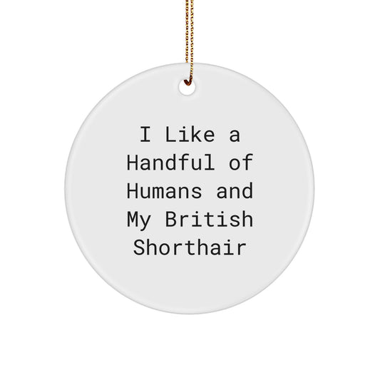 Funny British Shorthair Cat Lover Gifts from Men for British Shorthair Cat Friends, Cute Circle Ornament for British Shorthair Cat Christmas Unique Gifts - Image 1